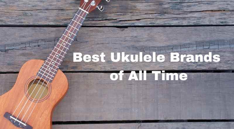 Best Ukulele Brands of All Time